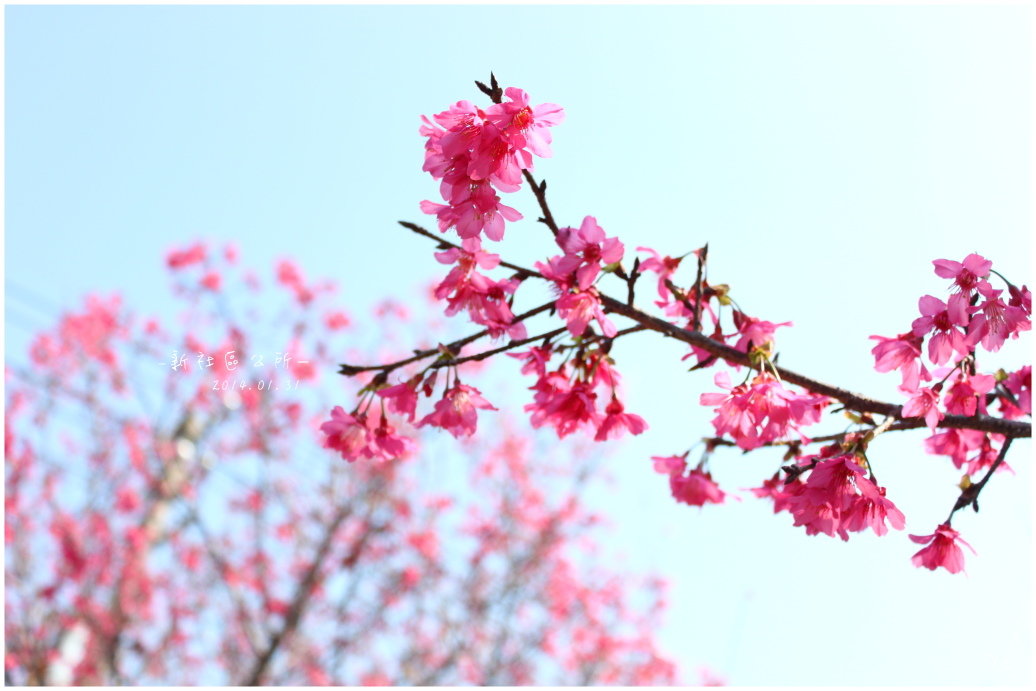 IMG_1952.JPG IMG_1952.JPG