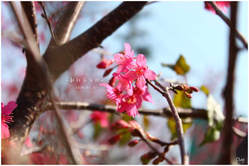 IMG_1953.JPG IMG_1953.JPG