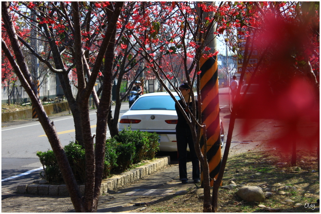 IMG_1956.JPG IMG_1956.JPG