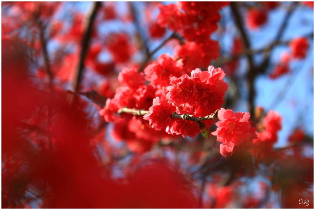 IMG_1957.JPG IMG_1957.JPG