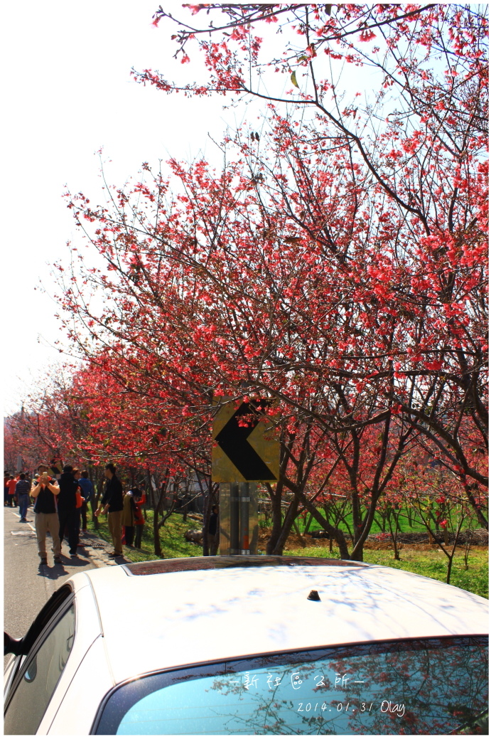 IMG_1959.JPG IMG_1959.JPG