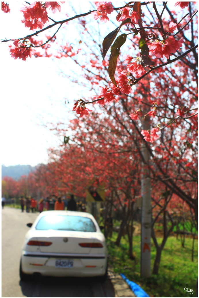 IMG_1960.JPG IMG_1960.JPG