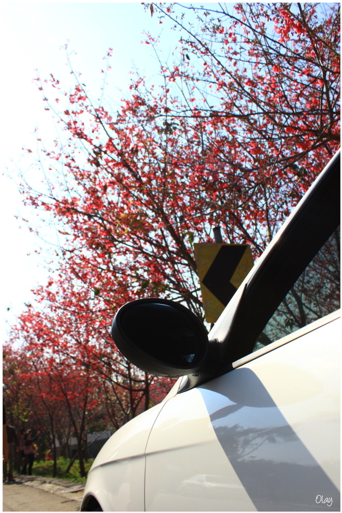 IMG_1964.JPG IMG_1964.JPG