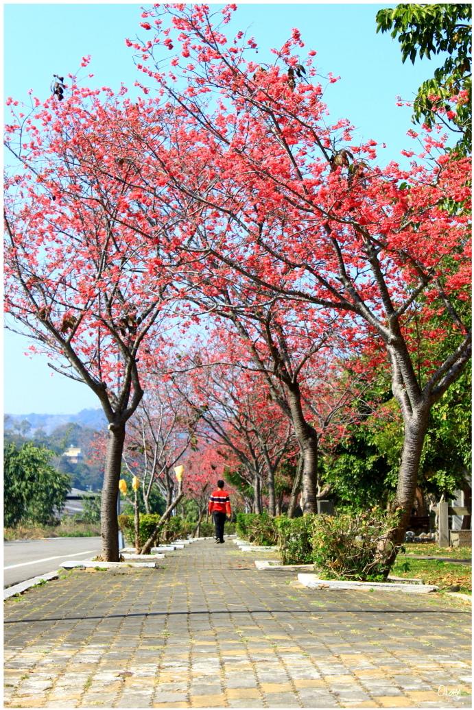 IMG_1969.JPG IMG_1969.JPG