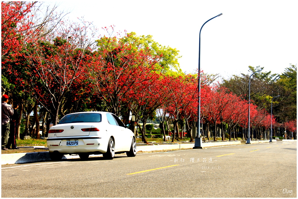 IMG_1974.JPG IMG_1974.JPG