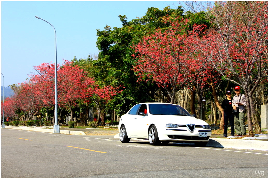 IMG_1978.JPG IMG_1978.JPG