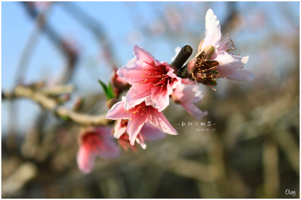 IMG_1983.JPG IMG_1983.JPG