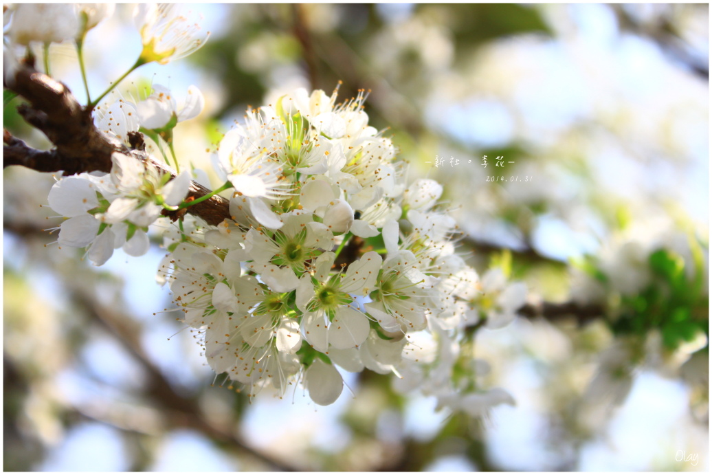 IMG_1993.JPG IMG_1993.JPG