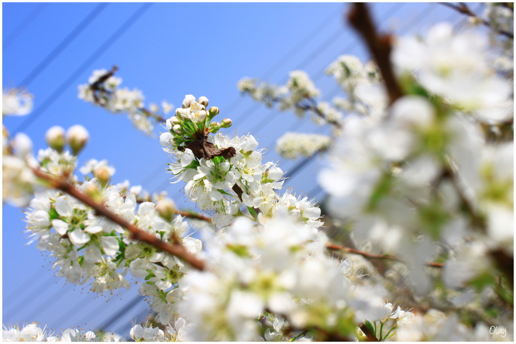 IMG_2002.JPG IMG_2002.JPG