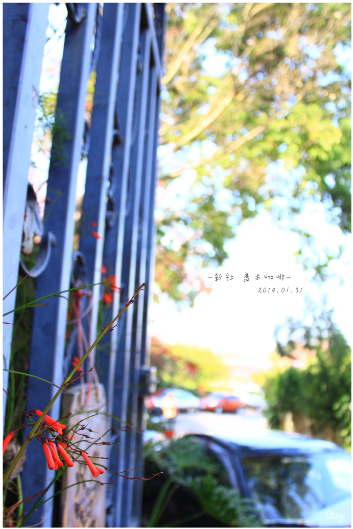 IMG_2005.JPG IMG_2005.JPG