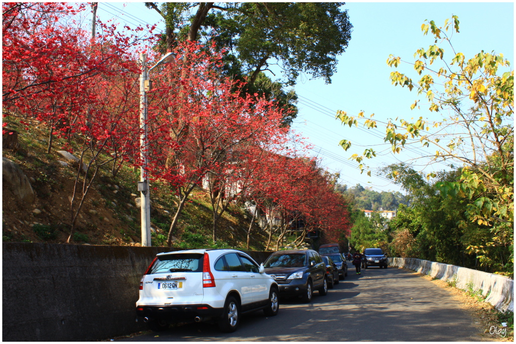 IMG_2007.JPG IMG_2007.JPG