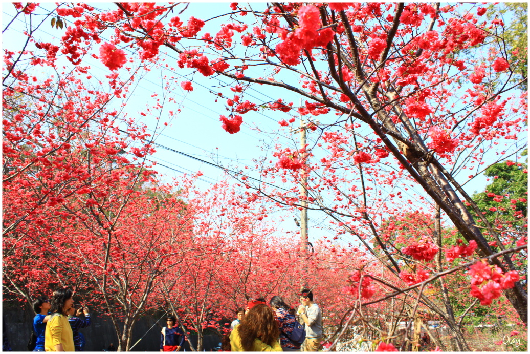 IMG_2010.JPG IMG_2010.JPG