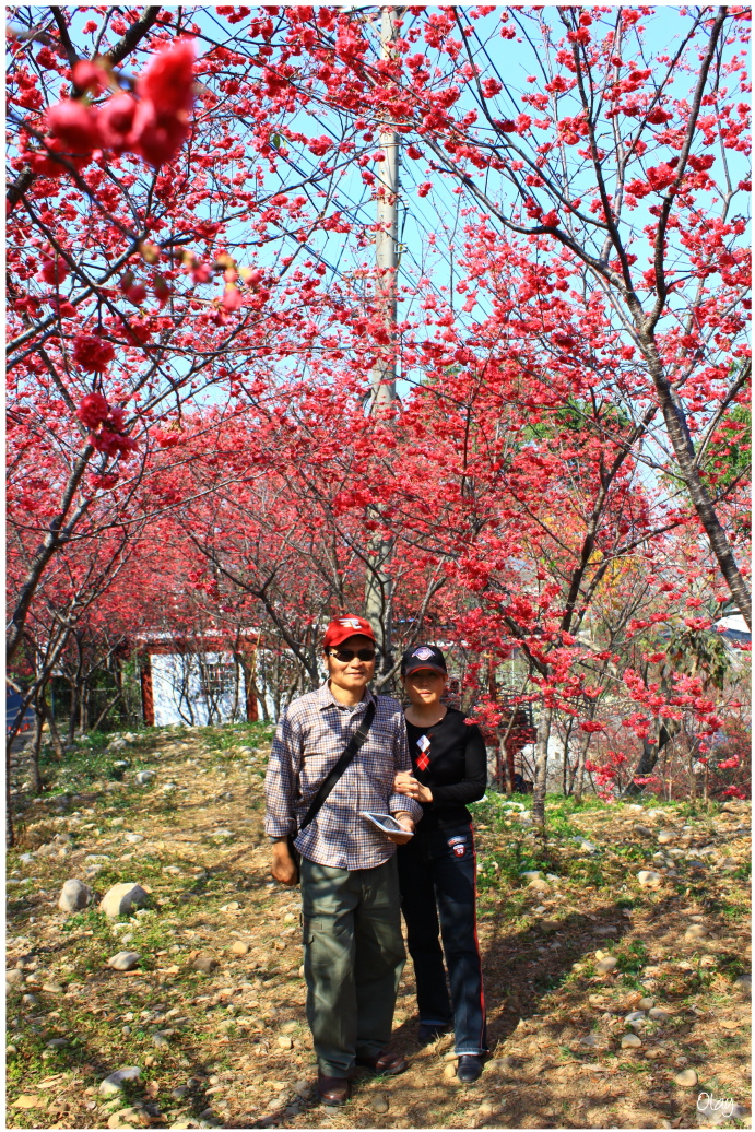 IMG_2014.JPG IMG_2014.JPG