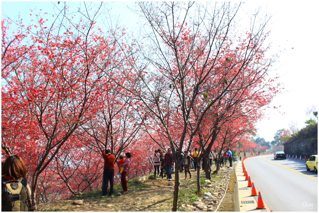 IMG_2016.JPG IMG_2016.JPG