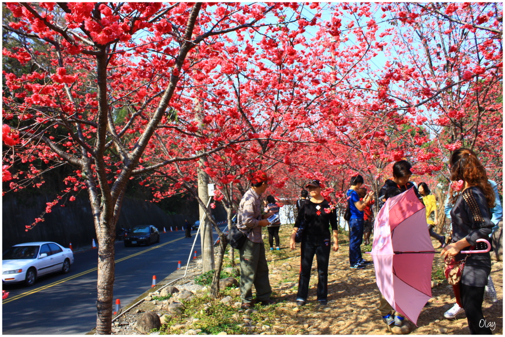 IMG_2017.JPG IMG_2017.JPG