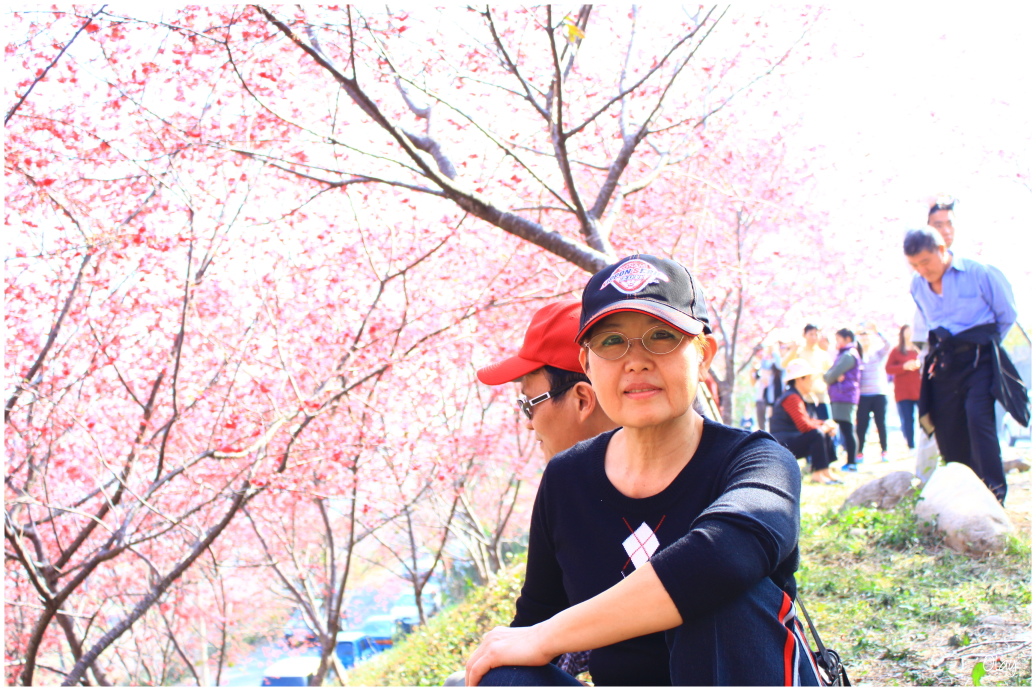 IMG_2030.JPG IMG_2030.JPG