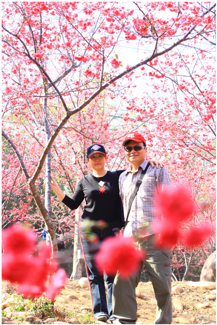 IMG_2039.JPG IMG_2039.JPG