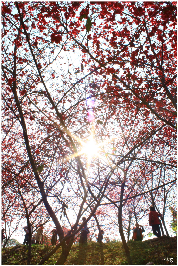 IMG_2042.JPG IMG_2042.JPG