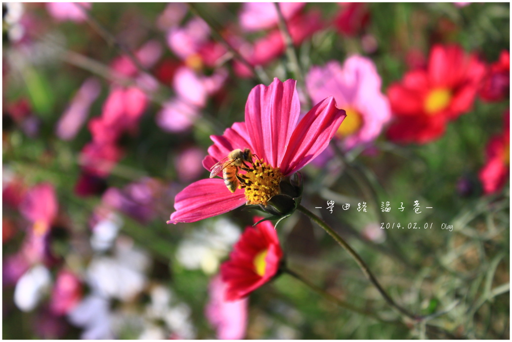 IMG_2047.JPG IMG_2047.JPG