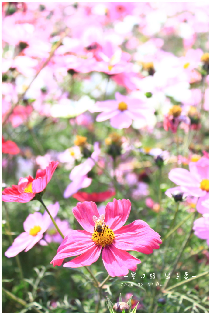 IMG_2048.JPG IMG_2048.JPG