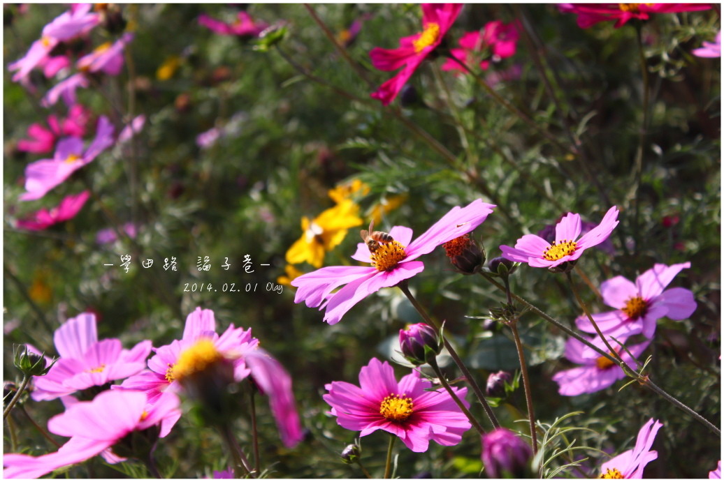 IMG_2056.JPG IMG_2056.JPG