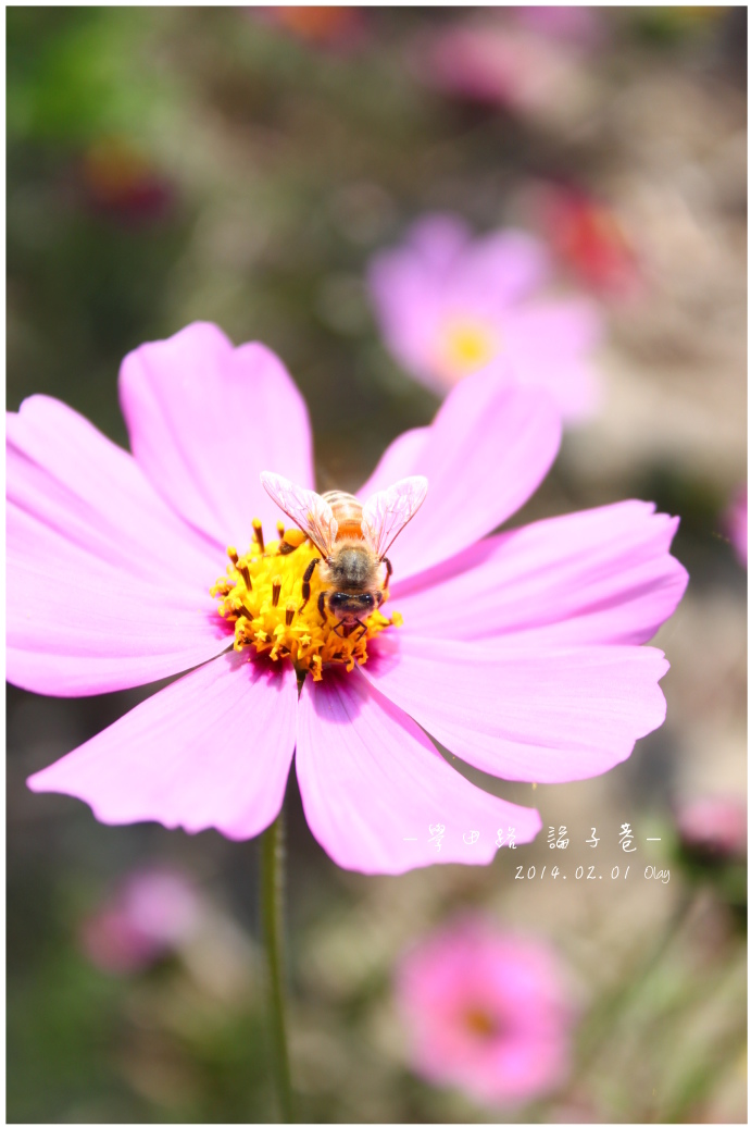 IMG_2057.JPG IMG_2057.JPG