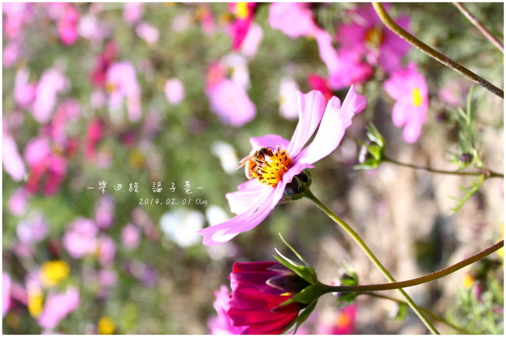 IMG_2058.JPG IMG_2058.JPG