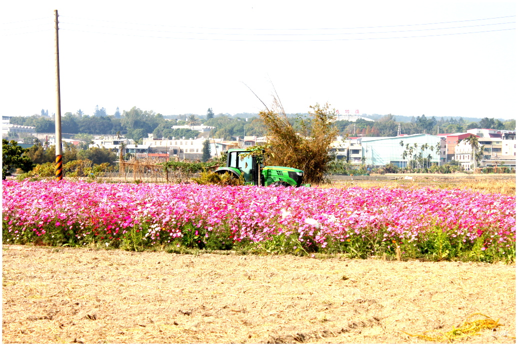 IMG_2061.JPG IMG_2061.JPG