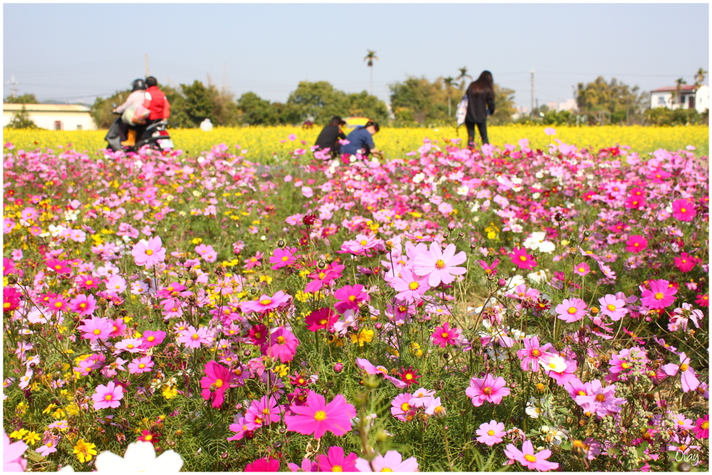 IMG_2085.JPG IMG_2085.JPG