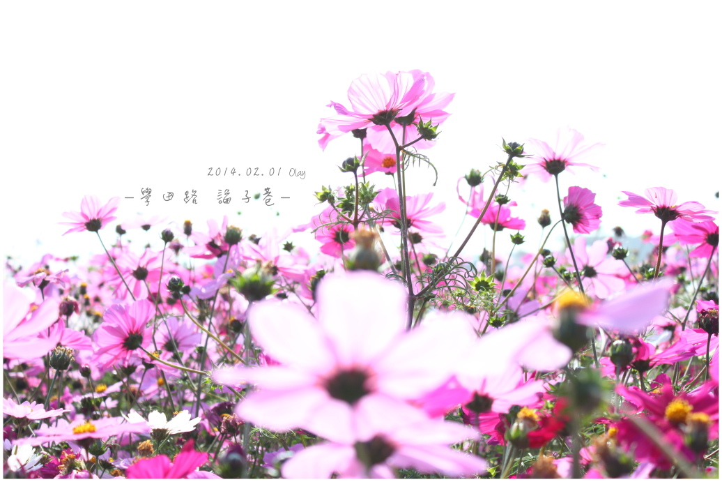 IMG_2088.JPG IMG_2088.JPG