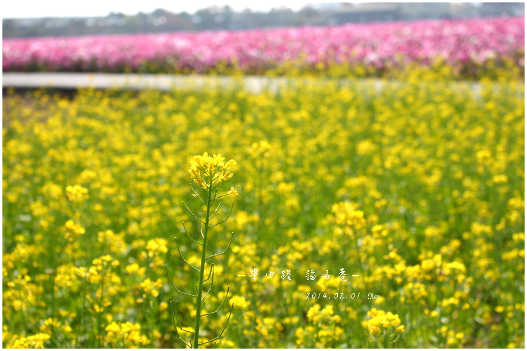 IMG_2096.JPG IMG_2096.JPG