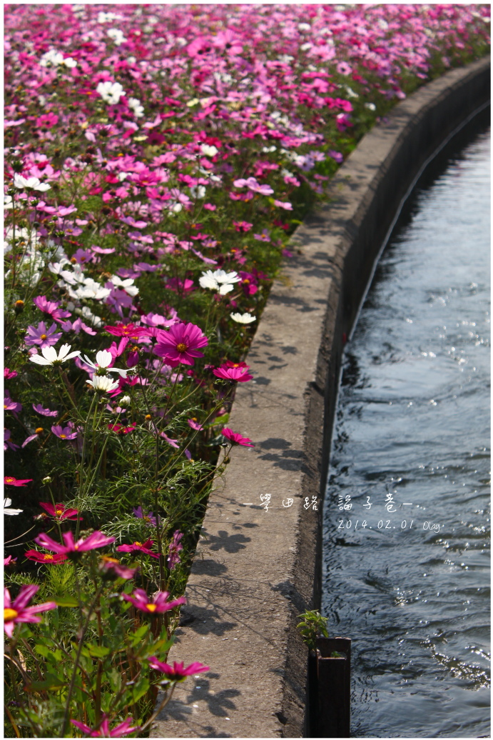 IMG_2098.JPG IMG_2098.JPG