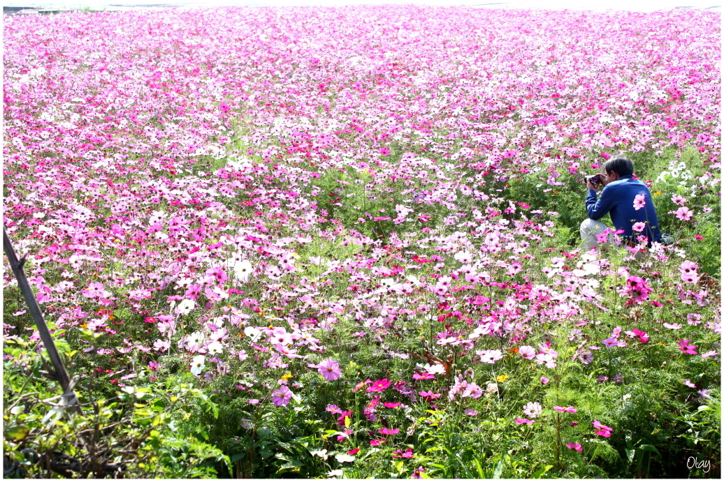 IMG_2102.JPG IMG_2102.JPG