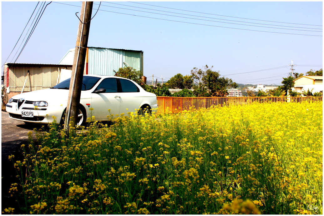 IMG_2131.JPG IMG_2131.JPG