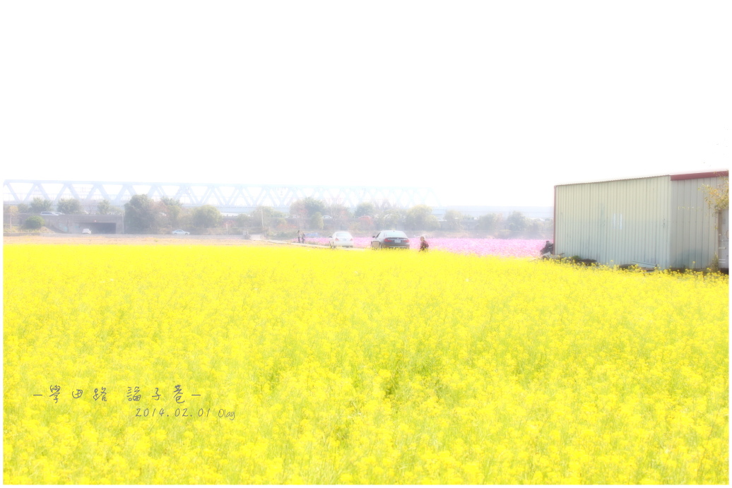 IMG_2133.JPG IMG_2133.JPG