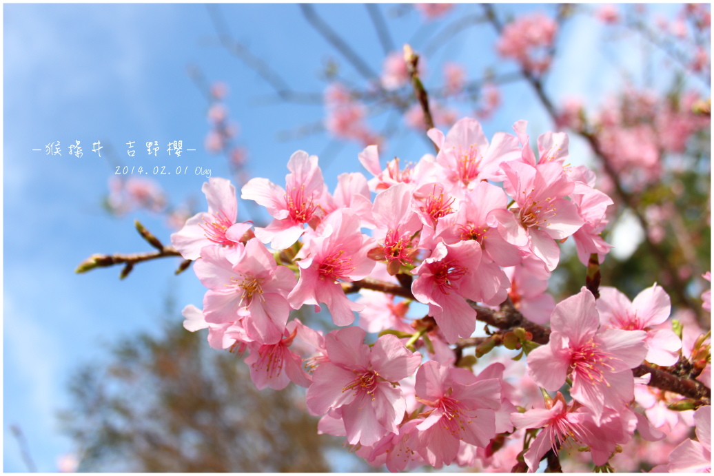 IMG_2173.JPG IMG_2173.JPG