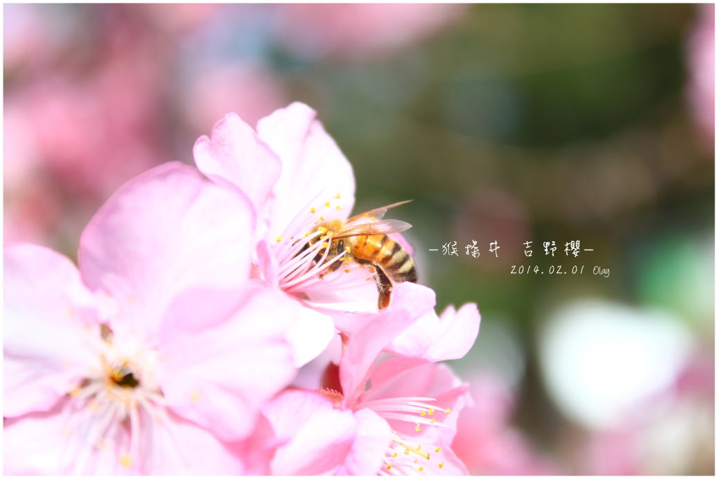 IMG_2176.JPG IMG_2176.JPG