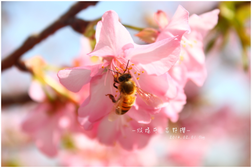 IMG_2177.JPG IMG_2177.JPG