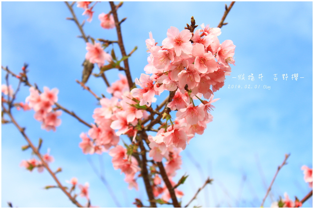 IMG_2193.JPG IMG_2193.JPG