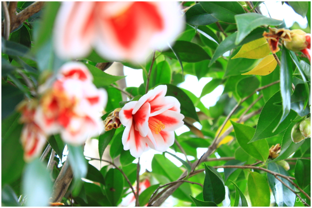 IMG_2202.JPG IMG_2202.JPG