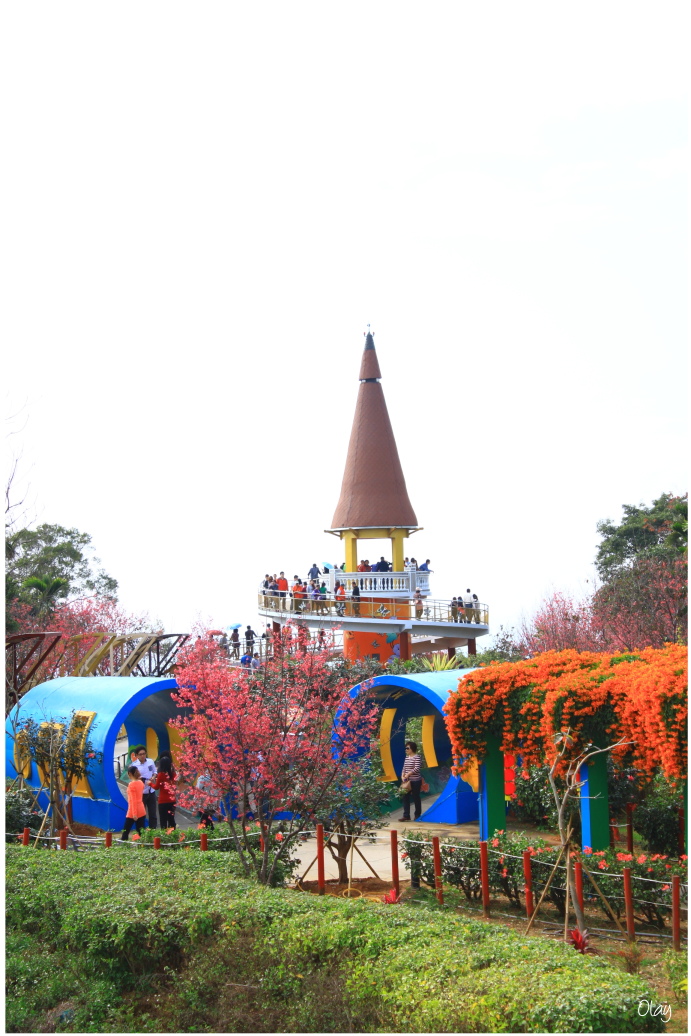 IMG_2215.JPG IMG_2215.JPG