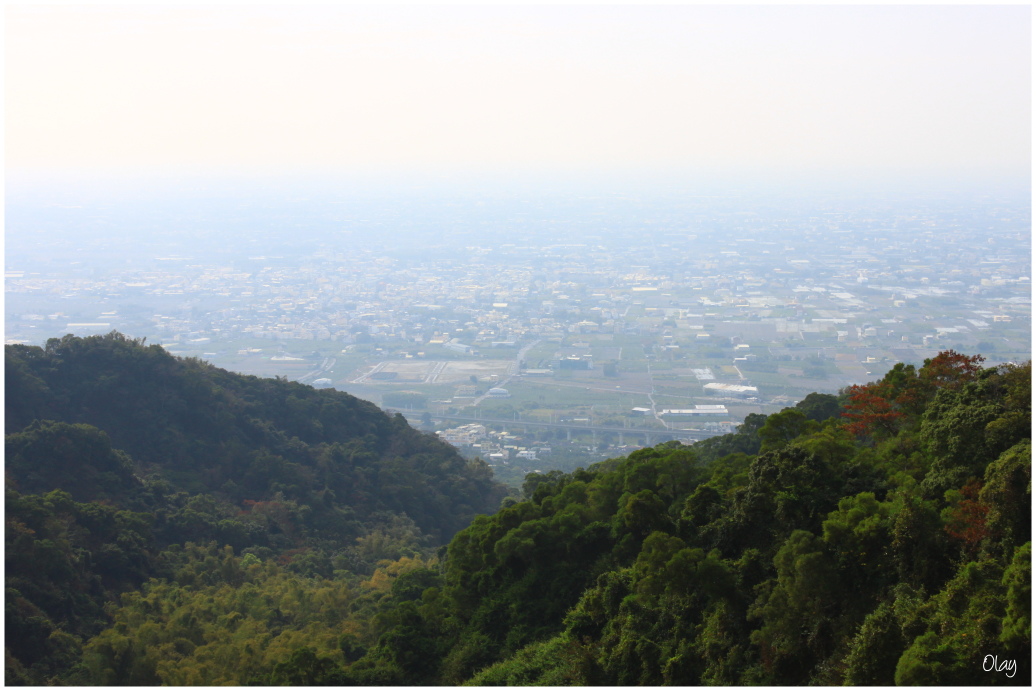 IMG_2224.JPG IMG_2224.JPG