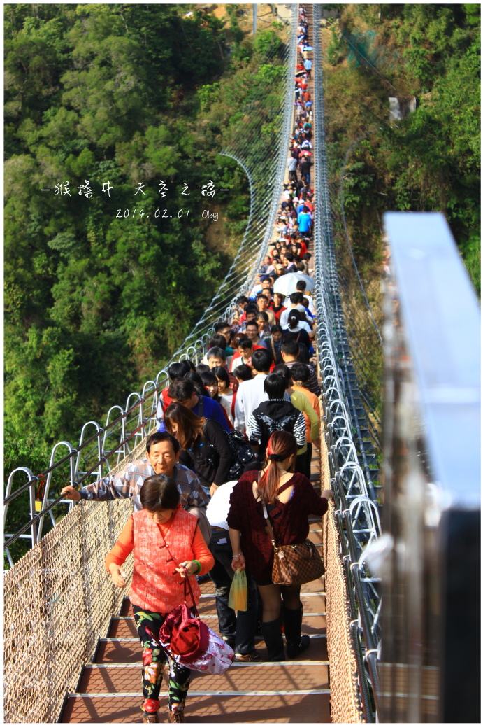 IMG_2233.JPG IMG_2233.JPG