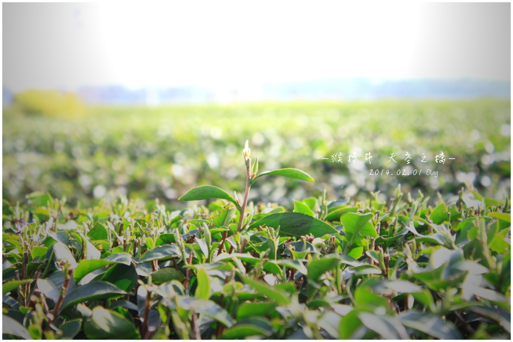 IMG_2237.JPG IMG_2237.JPG