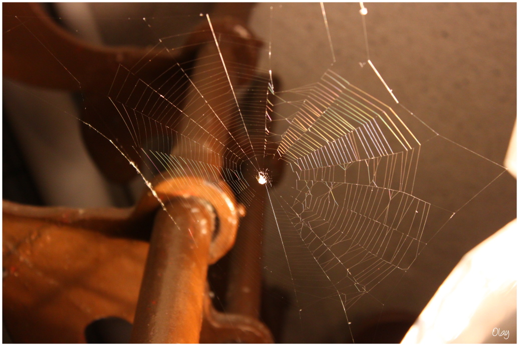 IMG_2330.JPG IMG_2330.JPG