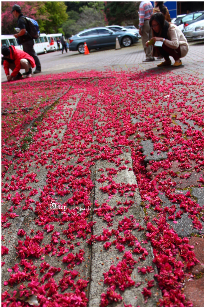 IMG_2384.JPG IMG_2384.JPG