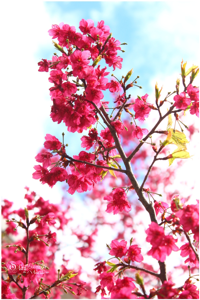 IMG_2391.JPG IMG_2391.JPG