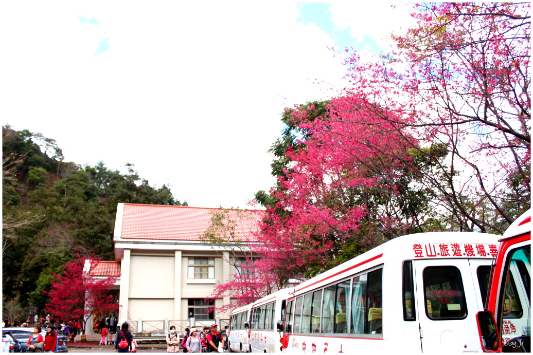 IMG_2396.JPG IMG_2396.JPG