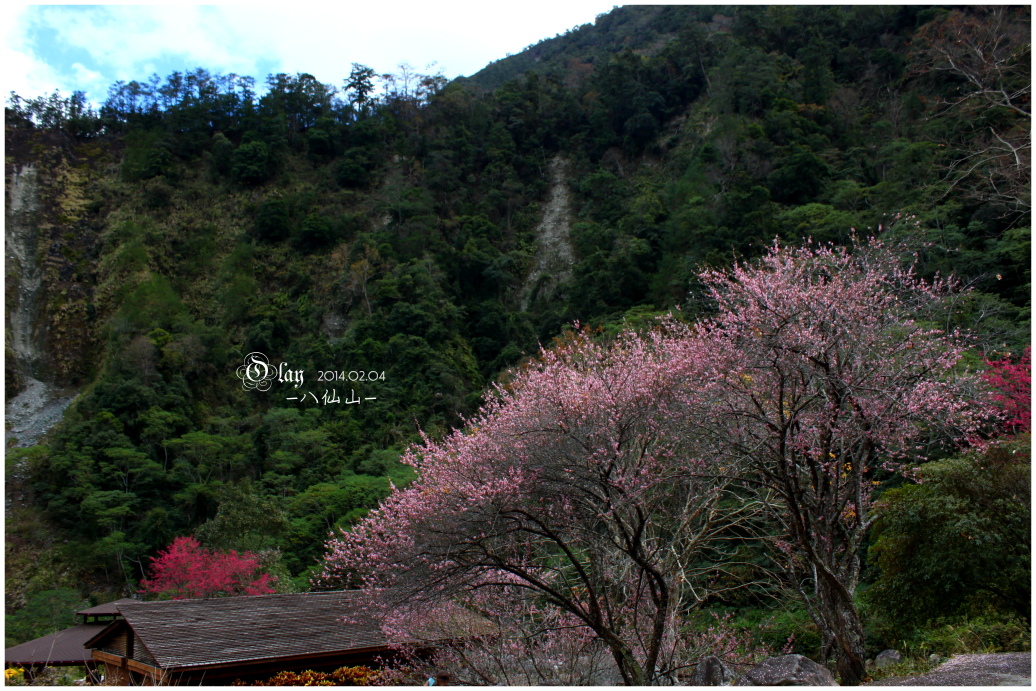 IMG_2404.JPG IMG_2404.JPG