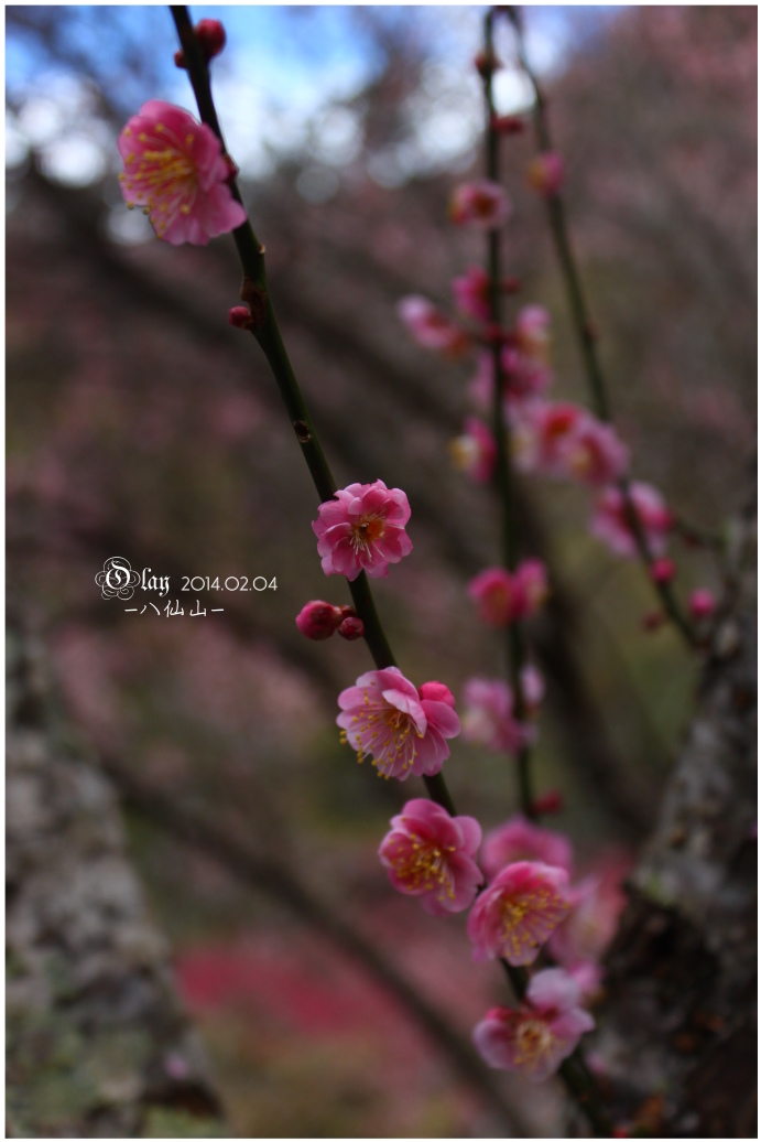 IMG_2406.JPG IMG_2406.JPG